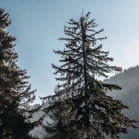 Roombox Likani Borjomi Εξωτερικό φωτογραφία