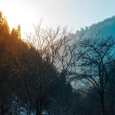 Roombox Likani Borjomi Εξωτερικό φωτογραφία